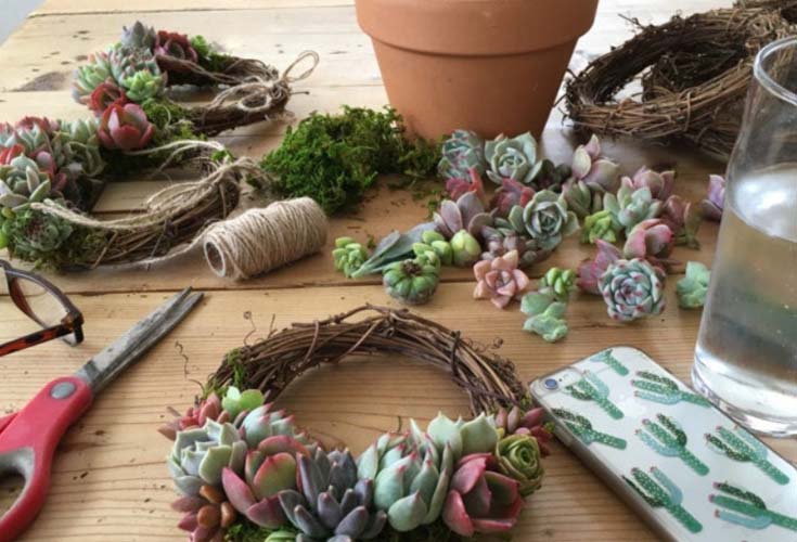 succulent decor workshop