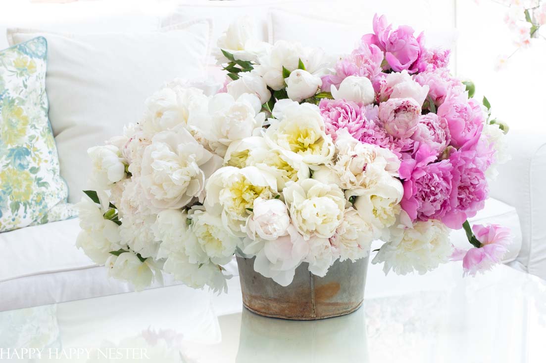 simple floral arrangement with peonies