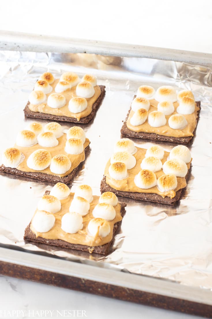 s'mores ice cream sandwich recipe with graham crackers and mini marshmallows roasted in a toaster oven