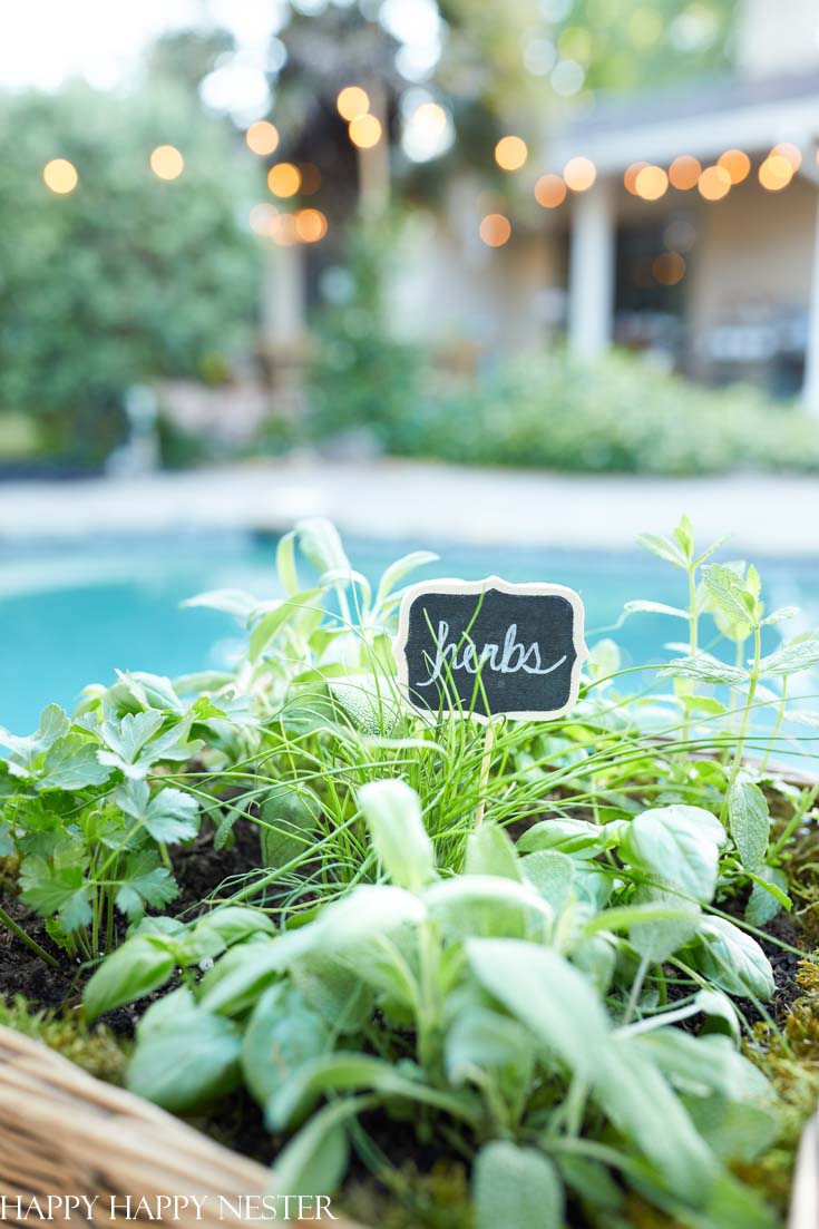 make a cute herb garden basket