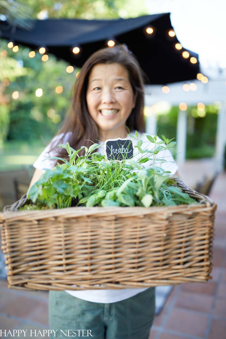 How to plant an herb garden in a basket