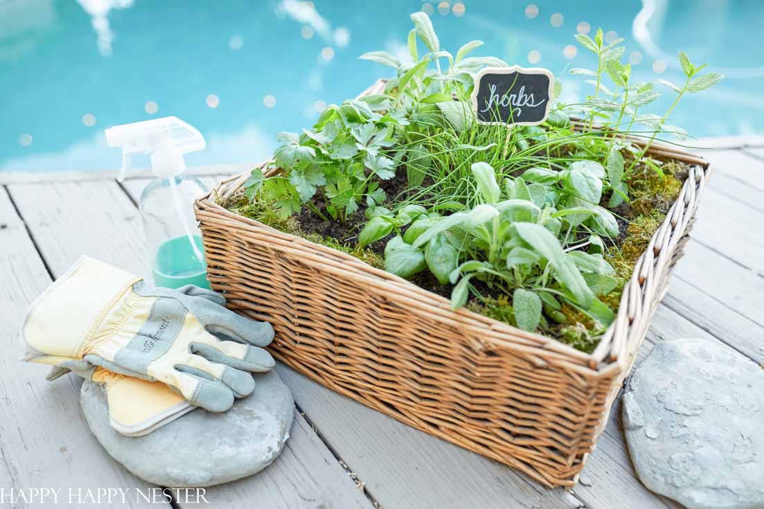 herb garden basket