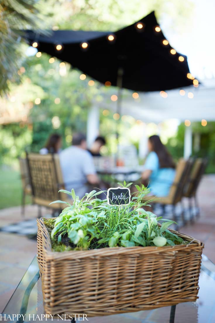 herb gardening