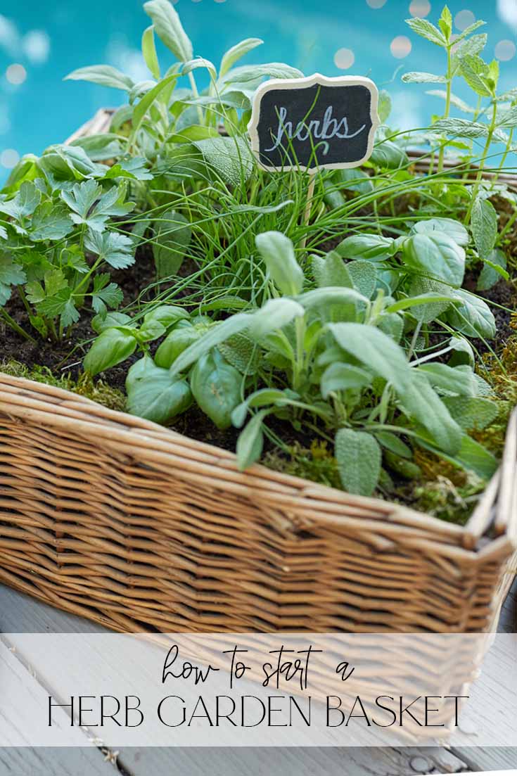 How to Make a Herb Garden Basket pin