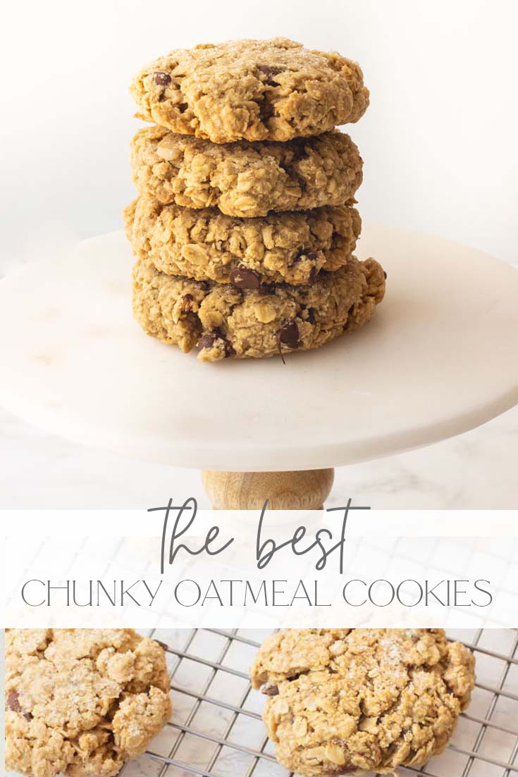 the best thick oatmeal cookie recipe pin