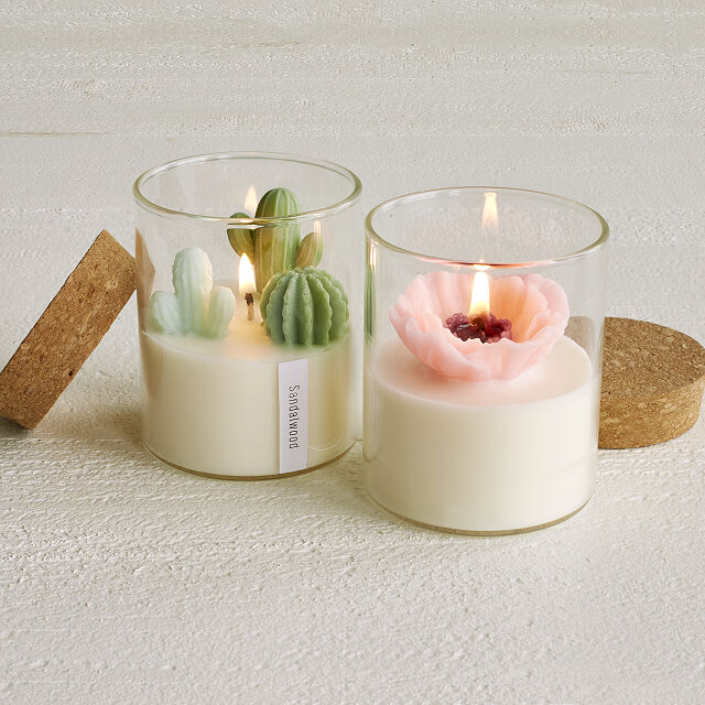 succulent candle