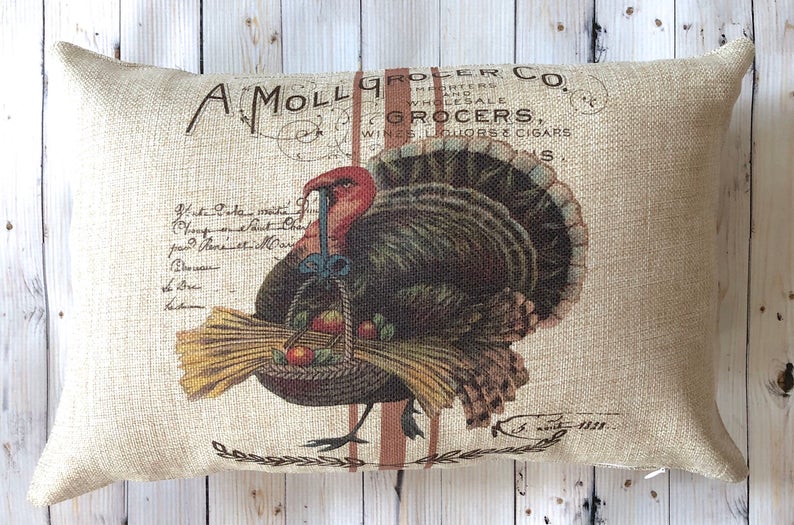 Turkey Thanksgiving pillow