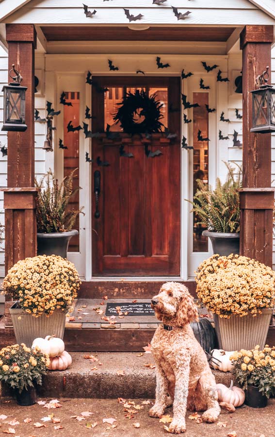 Halloween front porch ideas