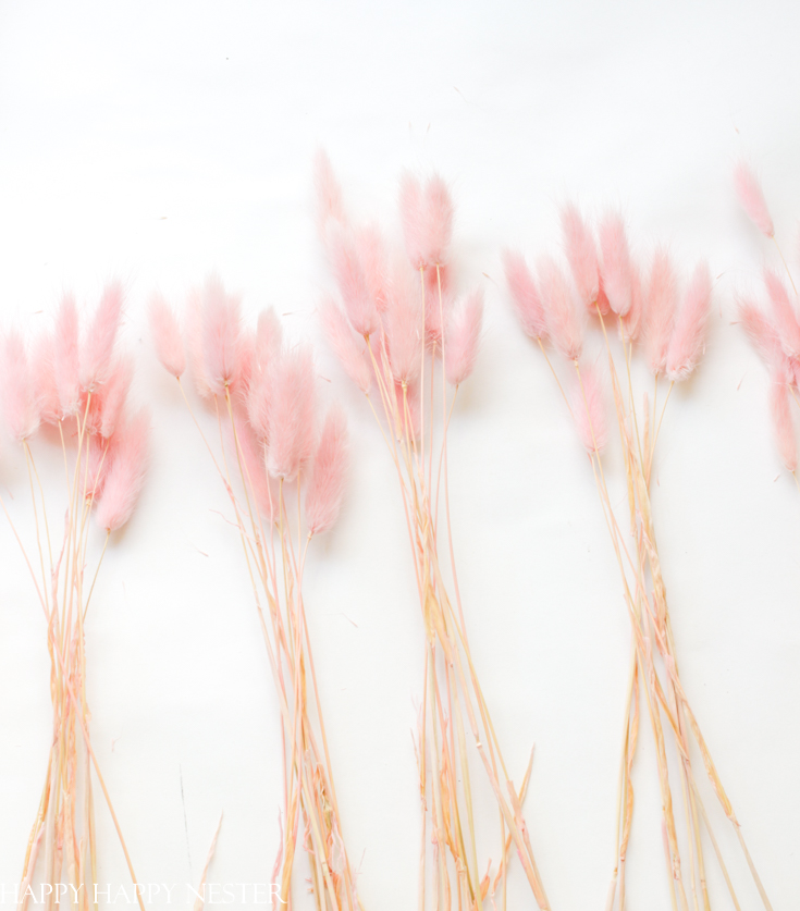 bunny tail grass project