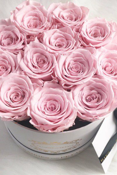 fresh beautiful roses make great valentine's day gifts
