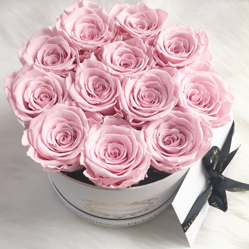fresh beautiful roses make great valentine's day gifts
