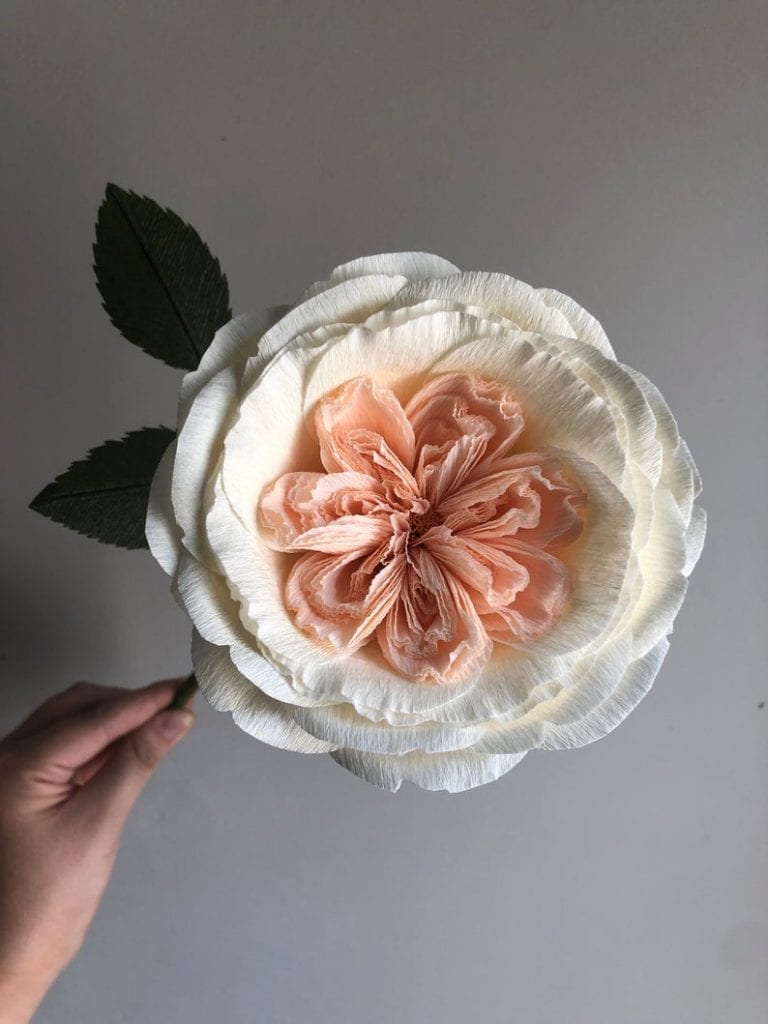 Juliet Rose: Handmade Crepe Paper Flower 