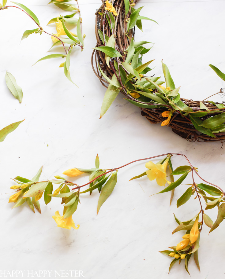 how to dry flowers