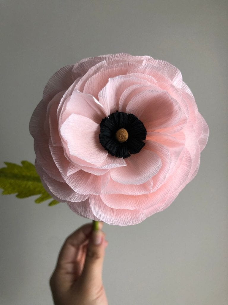 paper ranuculus