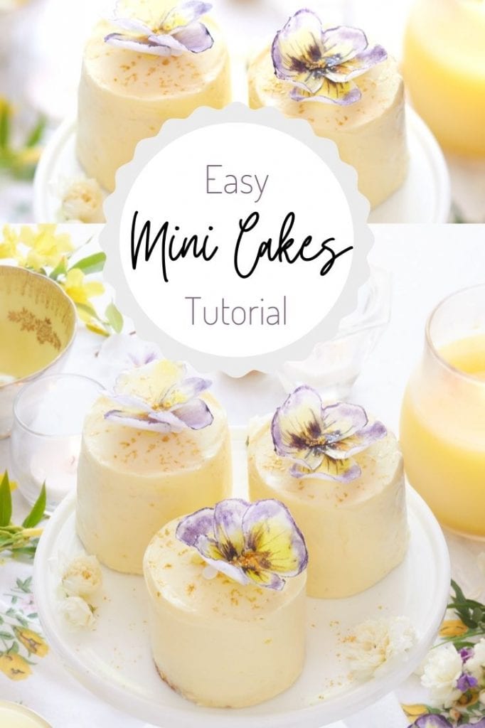 Mini Layer Cakes Recipe