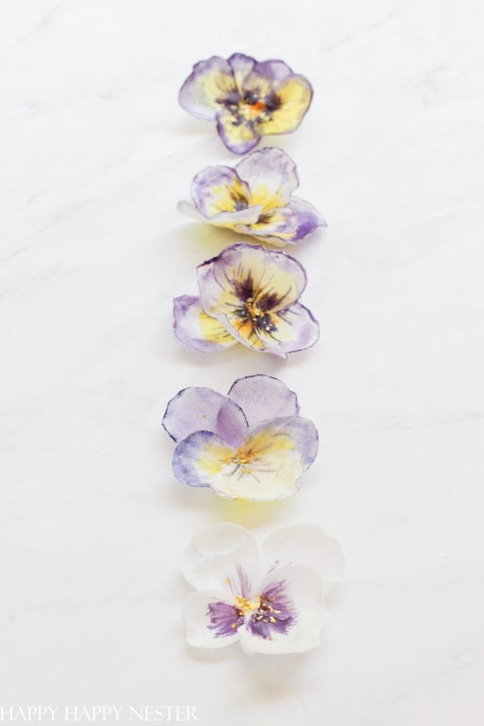 wafer paper flowers