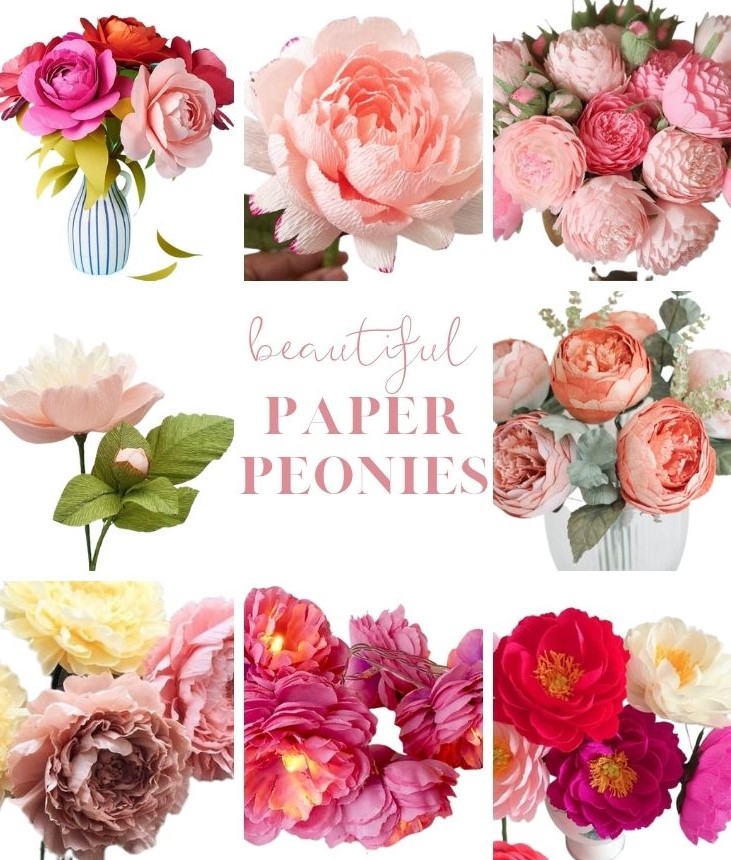 Pretty Paper Peonies for Sale