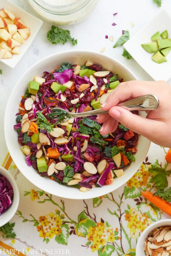 kale salad recipe with cranberries