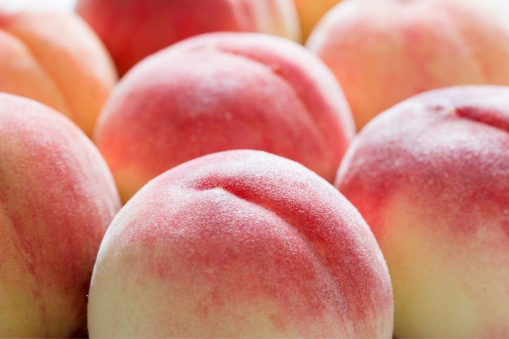 Peach varieties