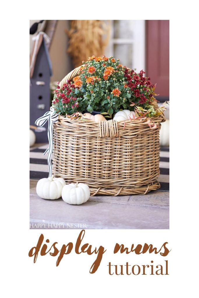 fall mum display ideas pin