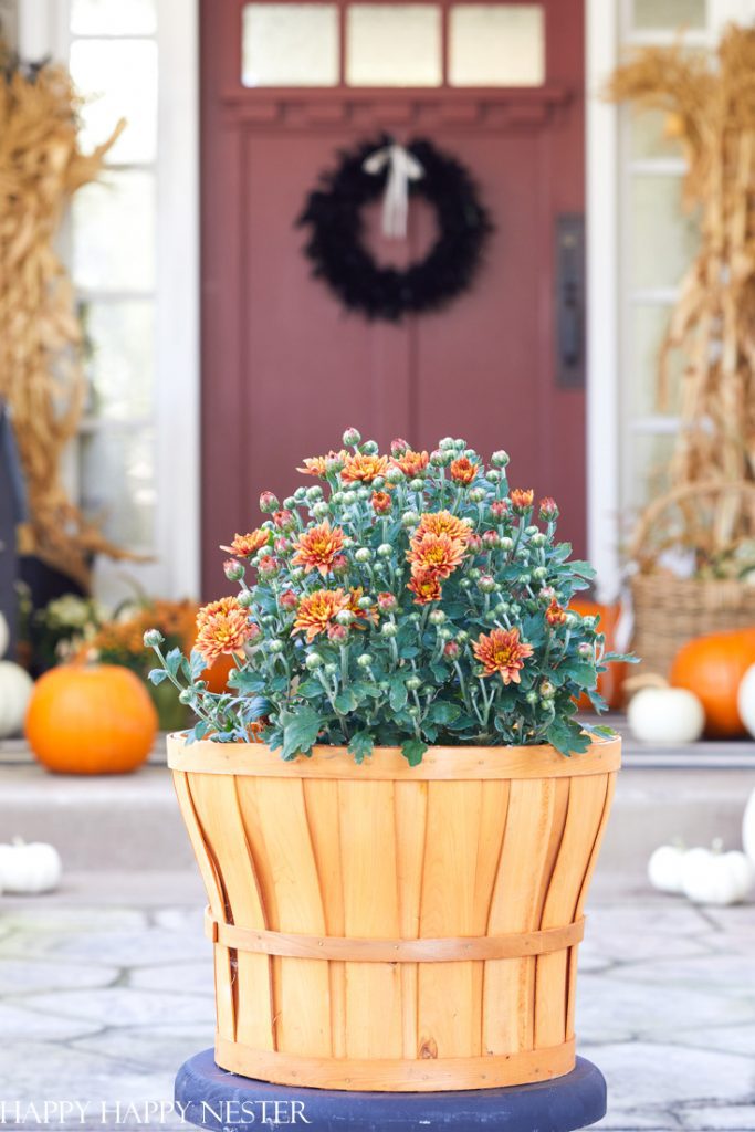 Fall Mum Display Ideas (Front Porch) - Happy Happy Nester