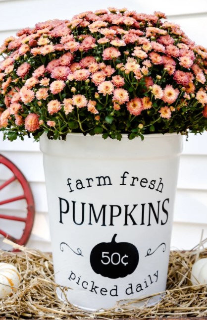 Front Porch Fall Decor - Happy Happy Nester