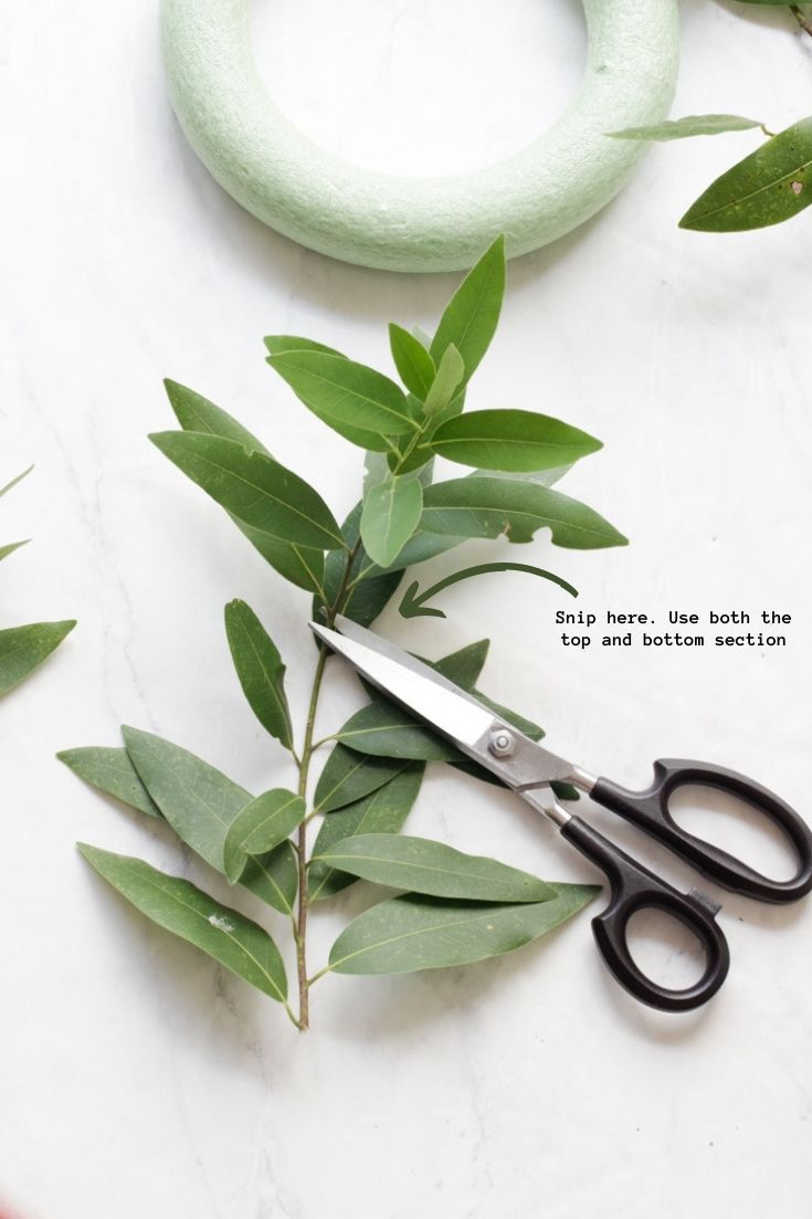 how to make a bay leaf wreath