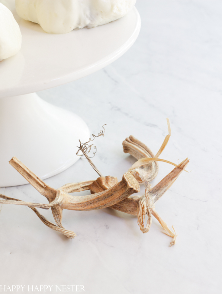 pumpkin stems for a cake