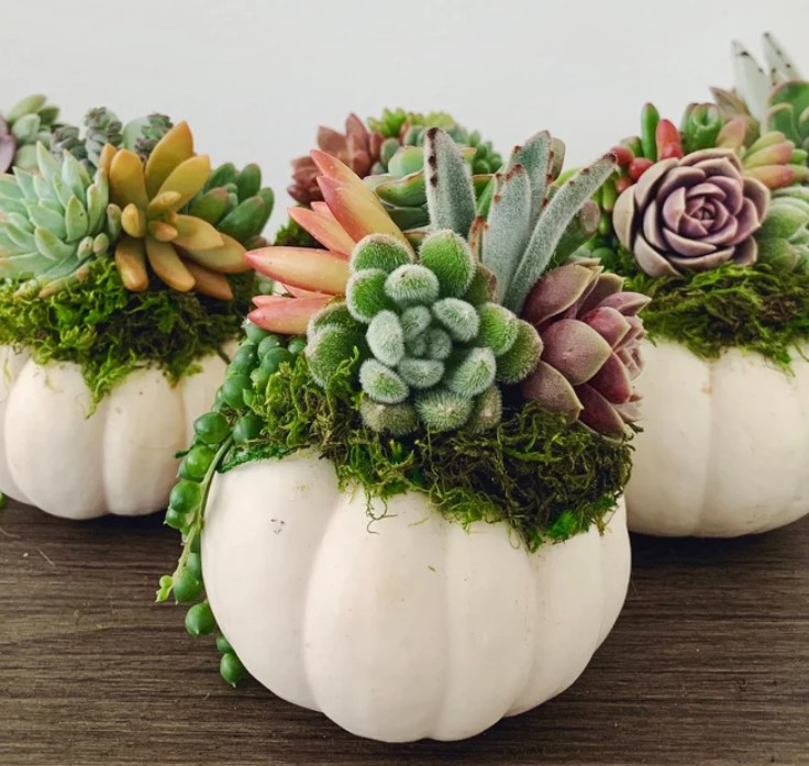 Farmhouse Pumpkin Decor - Happy Happy Nester