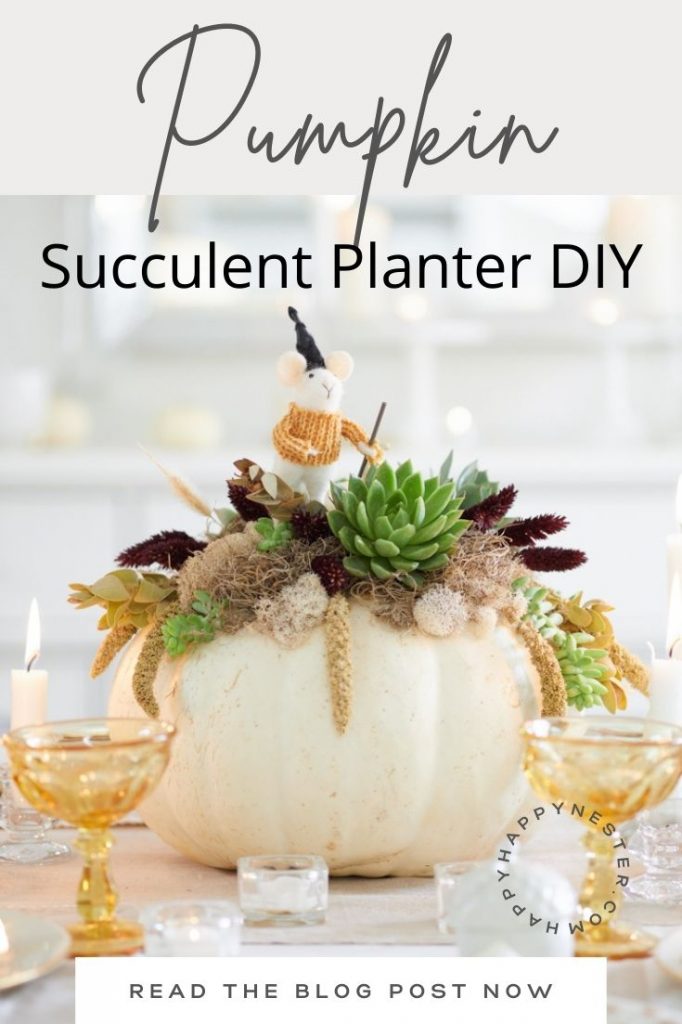diy pumpkin succulent planter pin