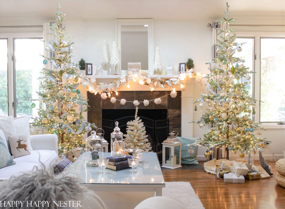 Christmas Decorations & Holiday Decor