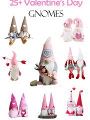 25+ Valentine's Day Gnomes