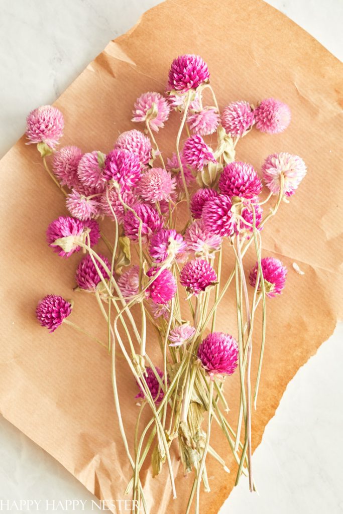 the best flowers for a wedding bouquet - globe amaranth