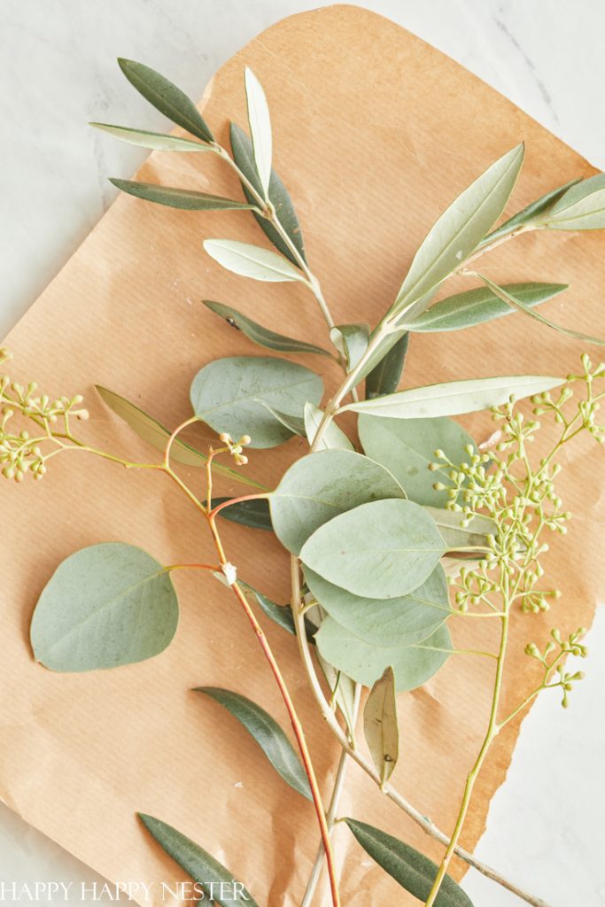 olive branches for dried flower arrangements