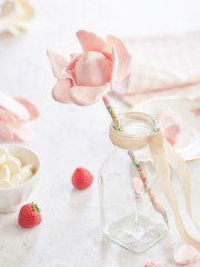 covered strawberries recipe