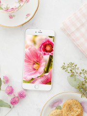 Free Cute iPhone Wallpapers