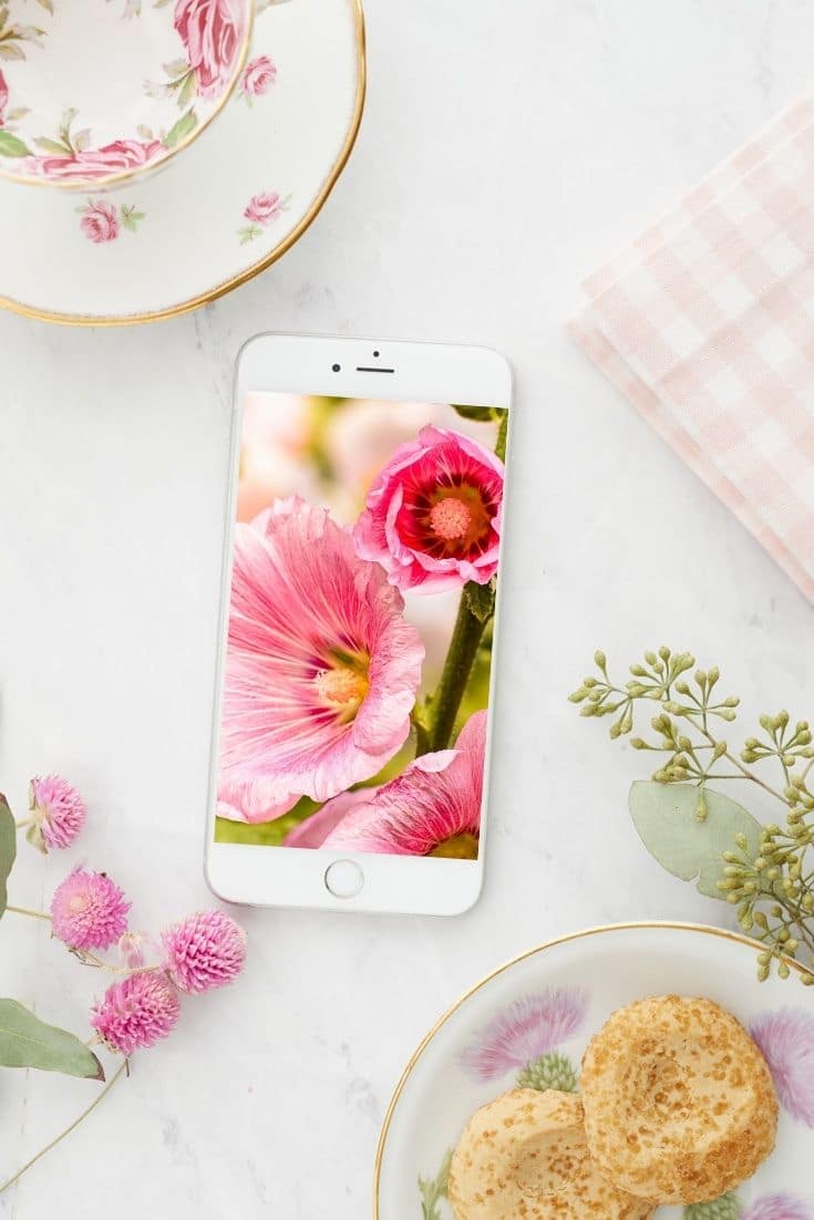 50+ Free Cute iPhone Wallpapers - Happy Happy Nester