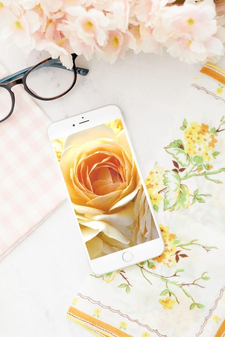 Cute Aesthetic iPhone Wallpapers Top 25 Best Cute Aesthetic iPhone  Wallpapers  Getty Wallpapers