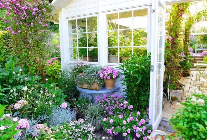 greenhouse flowers