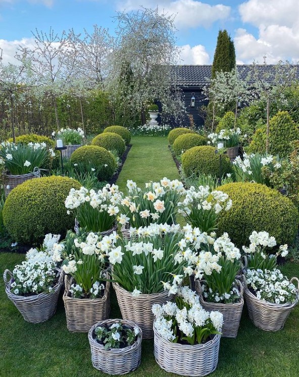 white flower pots