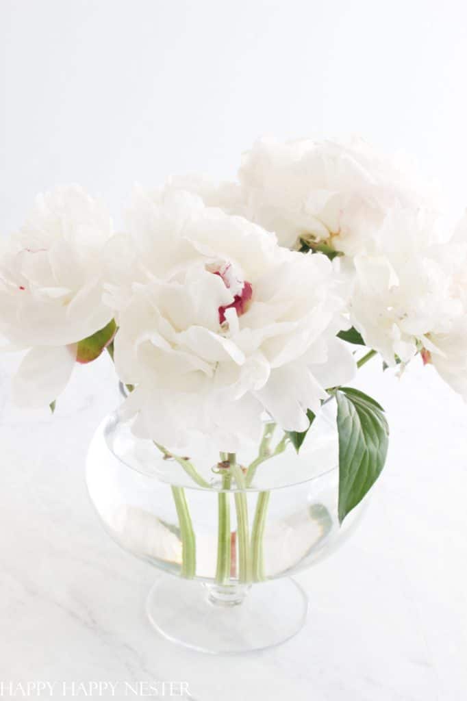 peony arrangement ideas