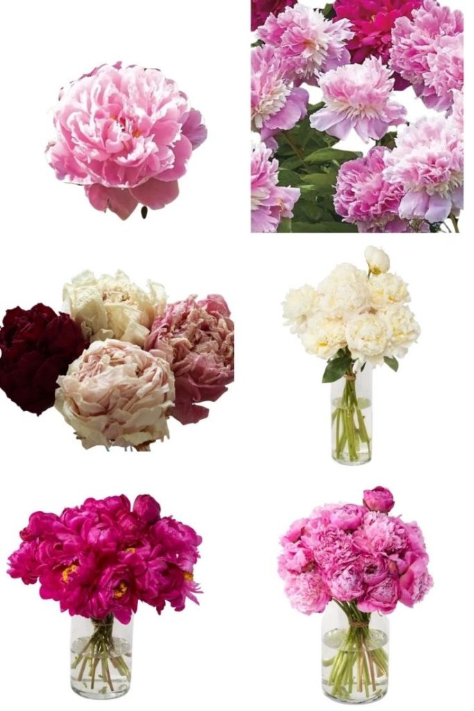 faux pink peonies and more