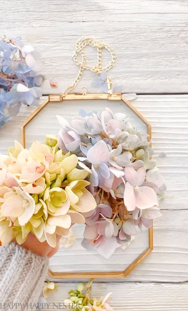 Carr Leaded Glass Picture Frame Dried Pressed Flowers In Between Glass