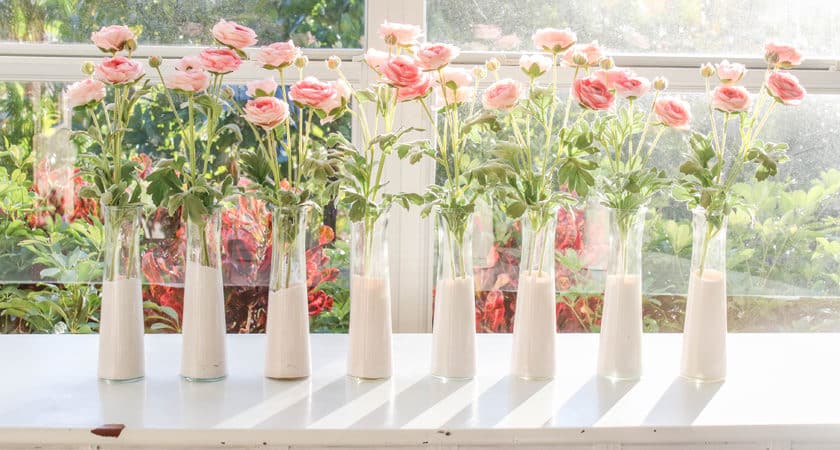 Eight glass vases, each holding pink flowers with green stems, are lined up on a white surface, perfect for a Valentine's Day dinner table. Sunlight streams through a window in the background, highlighting the greenery outside.