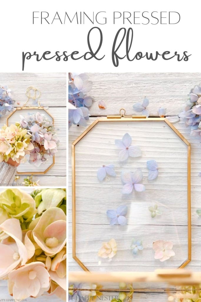 framing pressed flowers between glass pin image