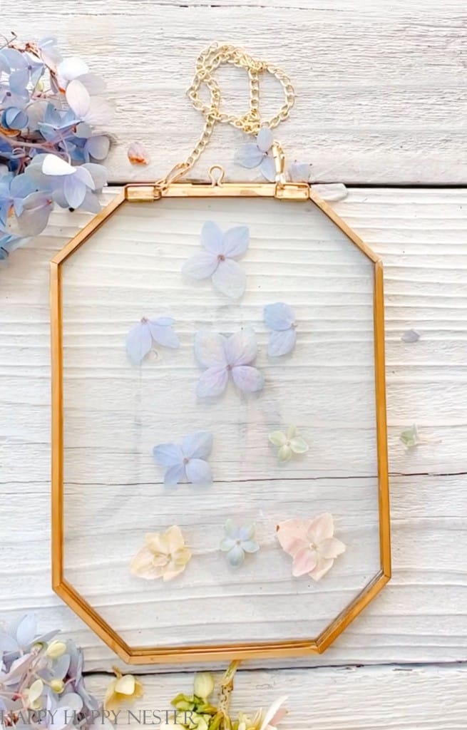 framing pressed flowers between glass