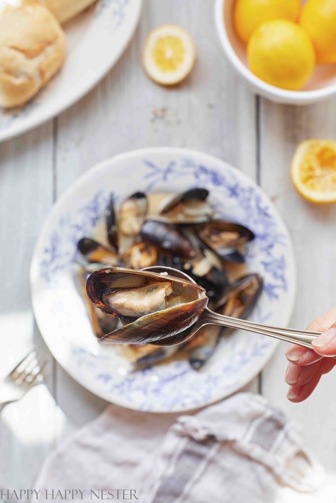 mussels in white wine cream sauce