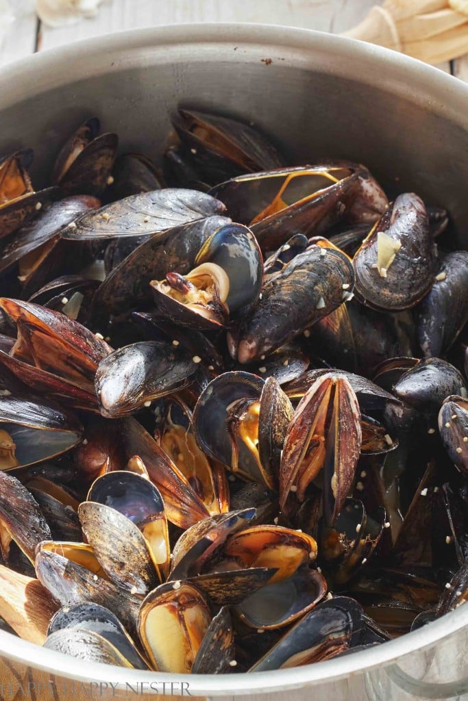prince edward island mussels in white wine sauce