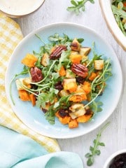 Cold Sweet Potato Salad Recipe with Cranberries and Pecans