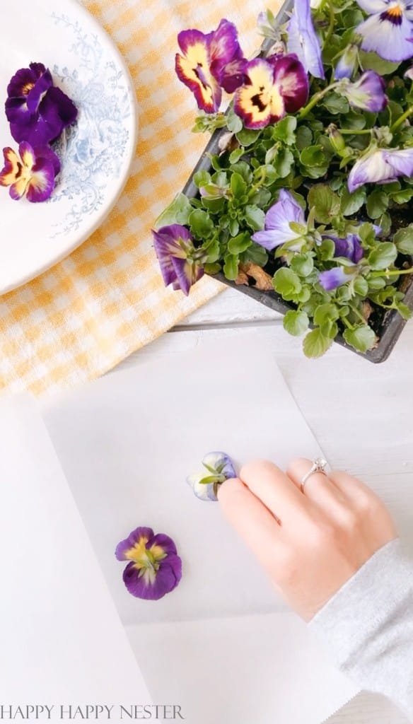 How to Make Your Own Resin Suncatcher with Flowers! - Promise Epoxy